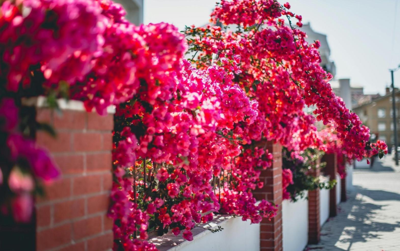 Создание флористических композиций студентами