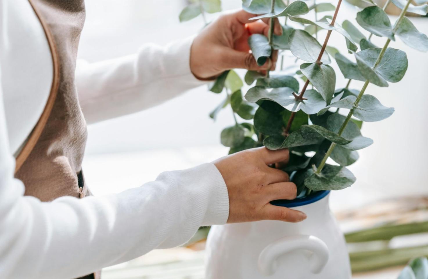 Профессиональная флористическая композиция для корпоративного интерьера