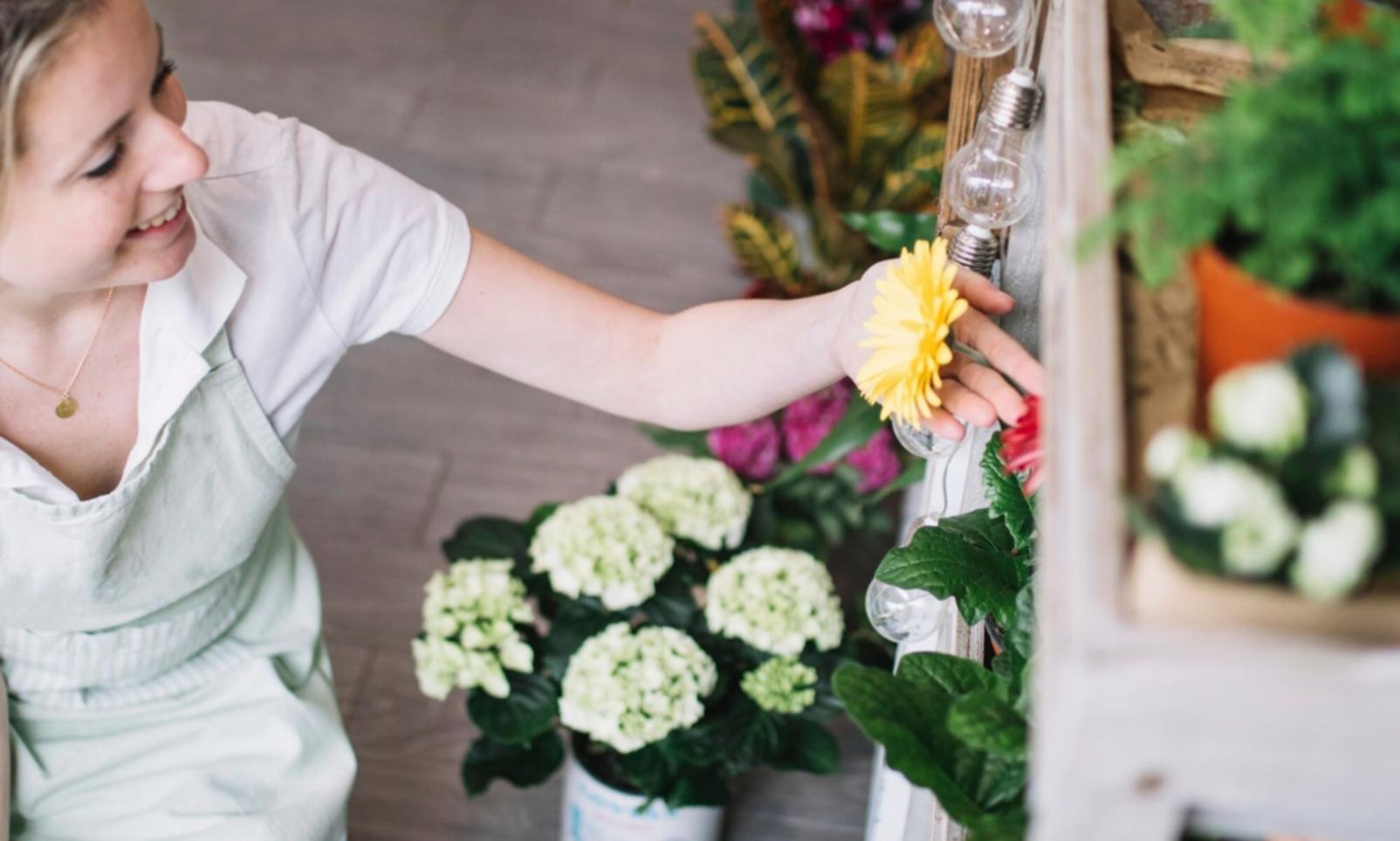 Примеры флористических композиций в интерьере